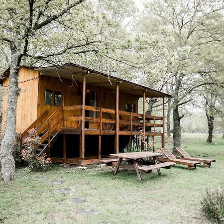 Le Ranch Amadeus Bed and Breakfast Saint-Paul-en-Born Exteriör bild