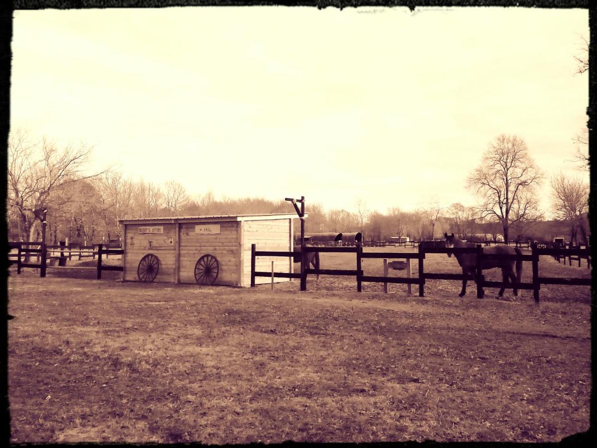 Le Ranch Amadeus Bed and Breakfast Saint-Paul-en-Born Exteriör bild