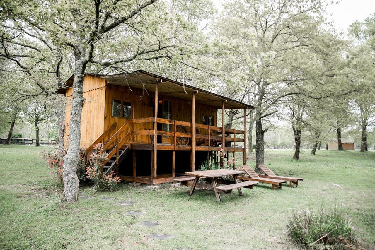Le Ranch Amadeus Bed and Breakfast Saint-Paul-en-Born Exteriör bild