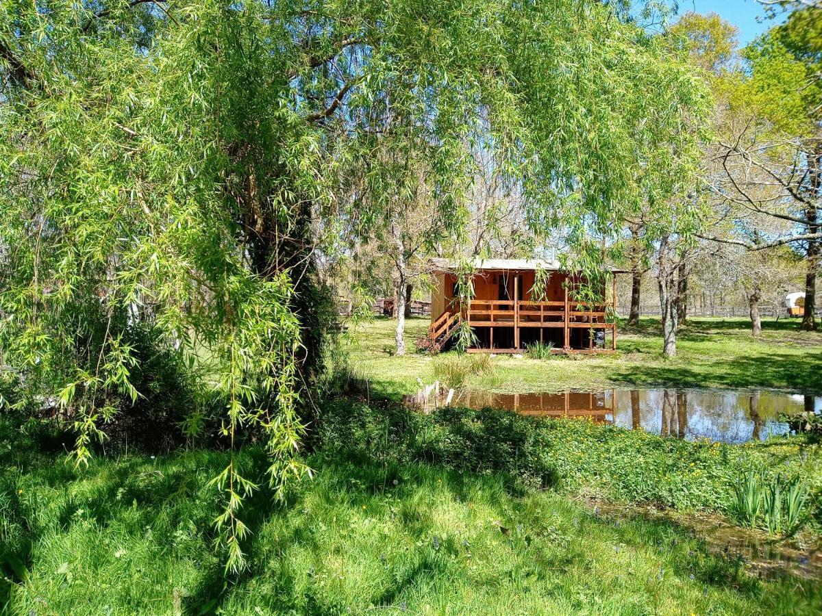 Le Ranch Amadeus Bed and Breakfast Saint-Paul-en-Born Exteriör bild