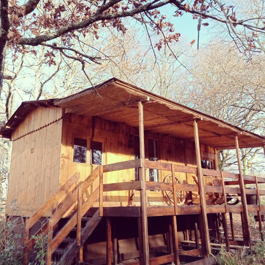 Le Ranch Amadeus Bed and Breakfast Saint-Paul-en-Born Exteriör bild