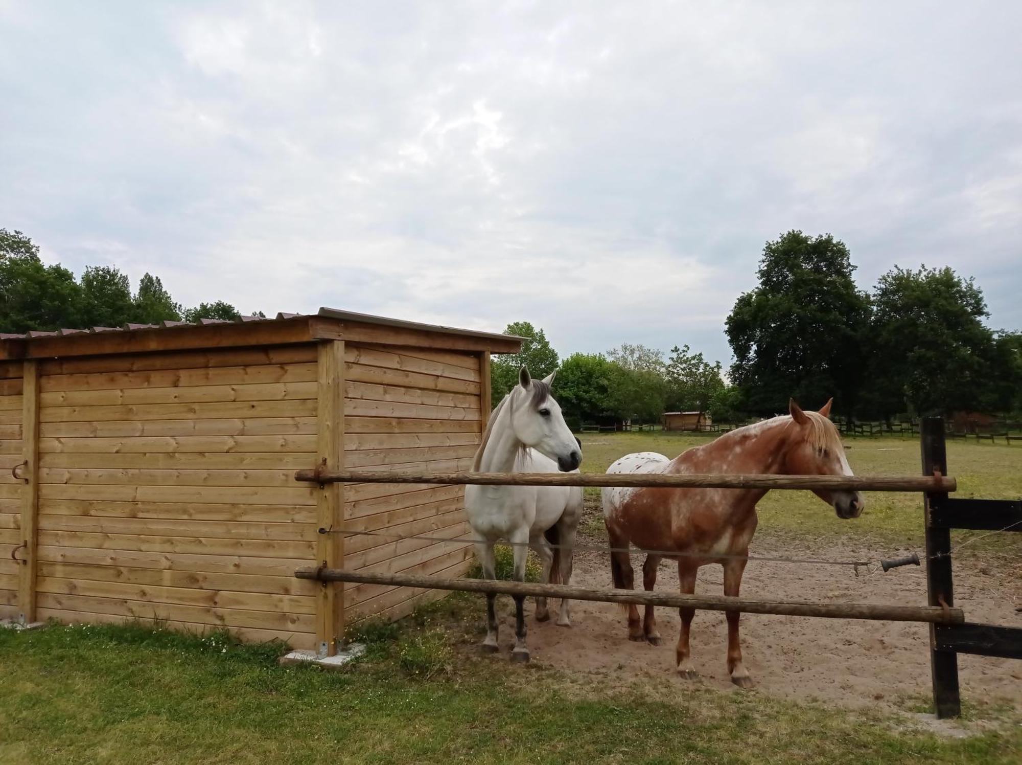Le Ranch Amadeus Bed and Breakfast Saint-Paul-en-Born Exteriör bild